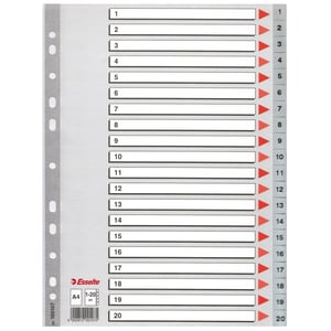 Afbeelding van Esselte 100107 A4 index | plastic | 1-20 | 11-gaats