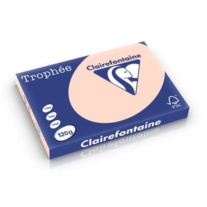 Afbeelding van Clairefontaine papier | zalm | A3 | 120 gr. | 250 vel