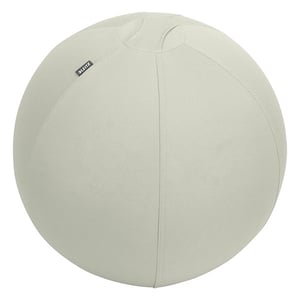 Afbeelding van Leitz Ergo Cosy actieve zitbal | lichtgrijs | 75 cm | tot 150 kg