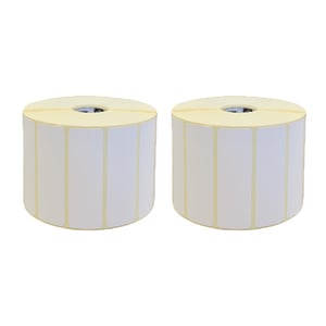 Afbeelding van TSC DT-S100036LL labels 100 mm x 300 m 2 rollen (origineel)
