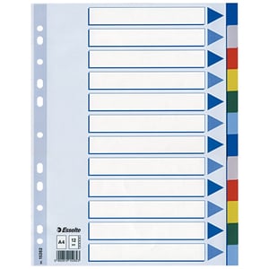 Afbeelding van Esselte 15262 A4 tabbladen | gekleurd plastic | 12 tabs | 11-gaats