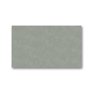 Afbeelding van Folia zijdepapier | grijs | 50 x 70 | 26 vel