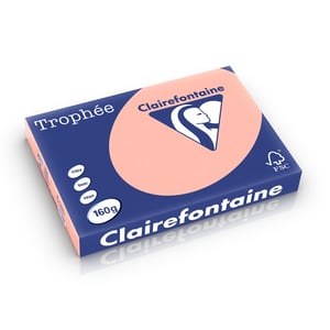 Afbeelding van Clairefontaine papier | perzik | A3 | 160 gr. | 250 vel