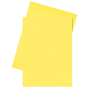 Afbeelding van Esselte inlegmap | papier | A4 | geel | 250 stuks