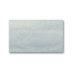 Afbeelding van Folia zijdepapier | zilver | 50 x 70 cm | 26 vel