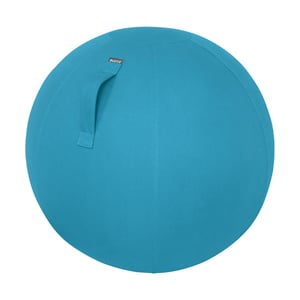 Afbeelding van Leitz Ergo Cosy actieve zitbal | blauw | 65 cm | tot 100 kg