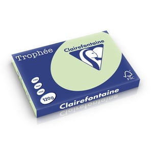 Afbeelding van Clairefontaine papier | golfgroen | A3 | 120 gr. | 250 vel