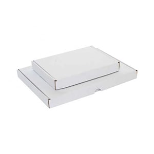 Afbeelding van Grote inpakdoos brievenbus formaat | 305x220x28mm | wit | 20 stuks