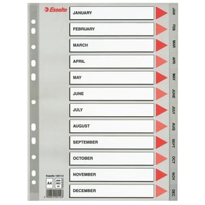 Afbeelding van Esselte 100114 A4 index | plastic | jan-dec | 11-gaats