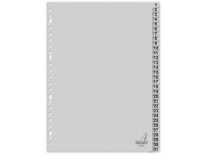 Afbeelding van Kangaro G431CM A4 index | plastic | 1-31 | 23-gaats