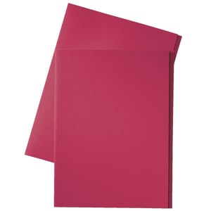 Afbeelding van Esselte inlegmap | karton | 10 mm overslag | folio | rood | 100 stuks